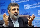 IAEA Informed of 20% Uranium Enrichment in Iran: Spokesman