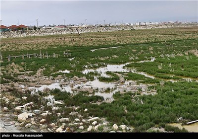 آلودگی محیط زیست در اسکله بندر ترکمن