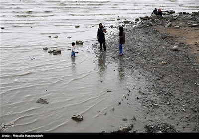 آلودگی محیط زیست در اسکله بندر ترکمن