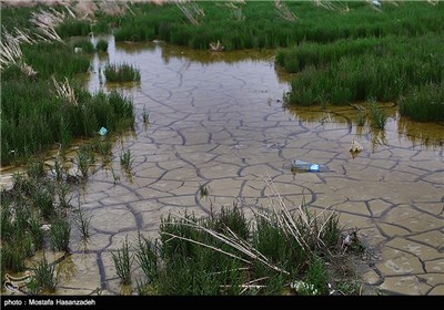 آلودگی محیط زیست در اسکله بندر ترکمن