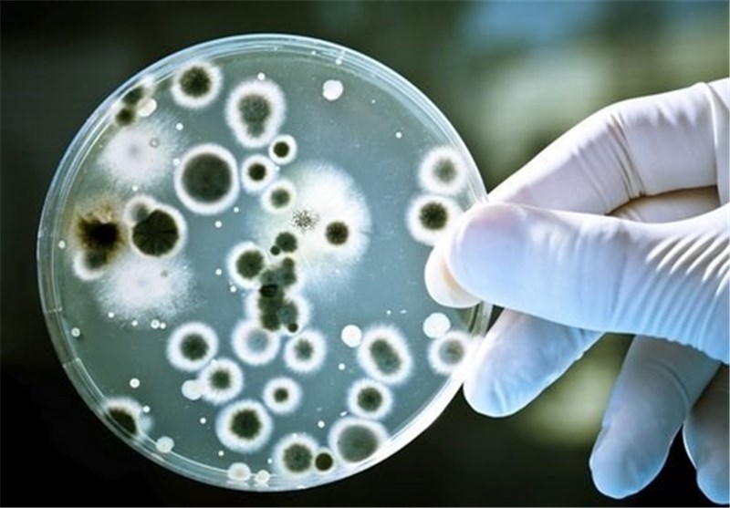 Developing New Omics-Based Diagnostic Tools to Better Manage Yeast Infections in Humans