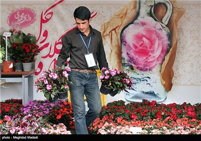 Rose Water Distillation in Tehran