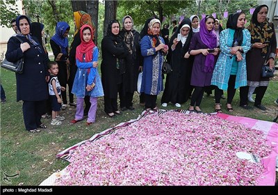 Rose Water Distillation in Tehran