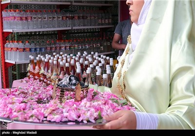 Rose Water Distillation in Tehran