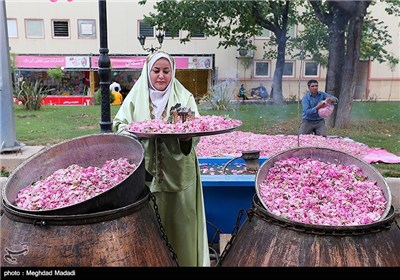 Rose Water Distillation in Tehran