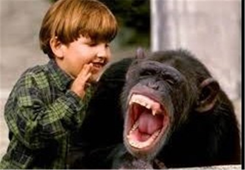 Chimps Vary Smiles Like Humans - Science news - Tasnim News Agency