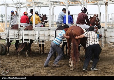 Horse-Racing in Iran’s Northeastern Golestan Province