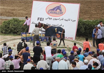 Horse-Racing in Iran’s Northeastern Golestan Province