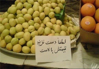  قیمت میوه در جنوب تهران چند؟/ جولان گرانی در کوچه پس کوچه‌های شهر 