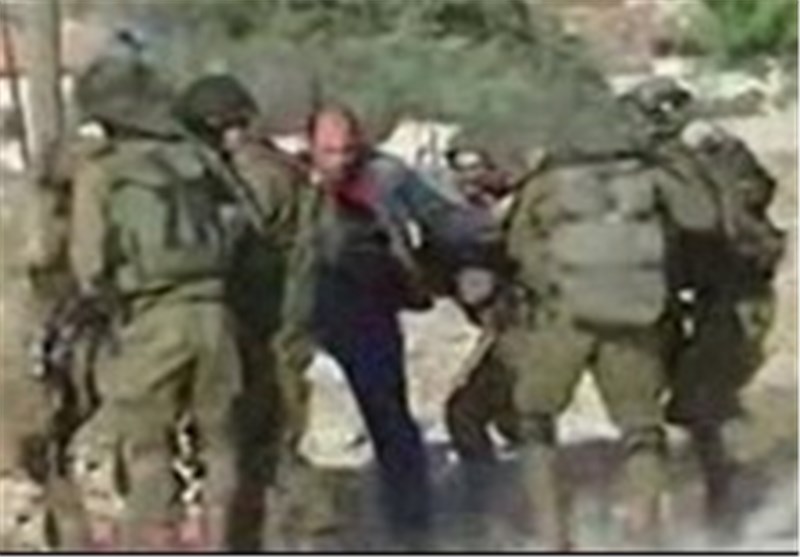 «درخت زیتون در سرزمین صلح»؛ روایت رنج‌های مردم فلسطین در تلویزیون