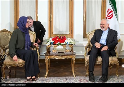 Senior Mexican Senator Meets with Iran’s Foreign Minister 