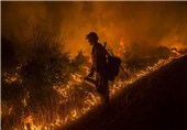 تصاویر آتش سوزی گسترده در کارولینای شمالی