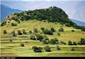 طبیعت بهاری جنگلهای ارسباران