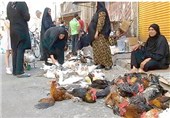 فروش مرغ زنده در شهرستان چرام سلامت مردم را تهدید می‌کند