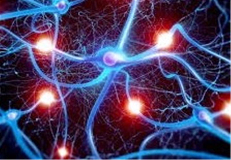 Neurons That Control Brain&apos;s Body Clock Identified