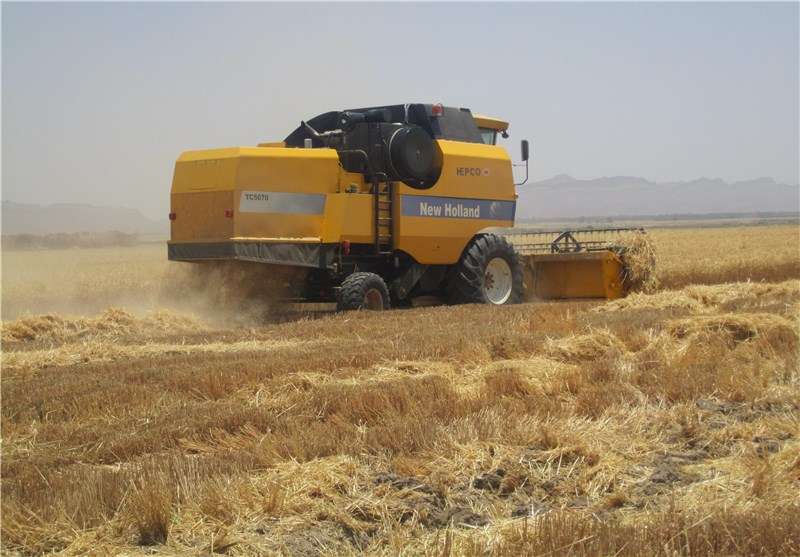 50 هزار تن محصول گندم از مزارع شهرستان نمین برداشت می‌شود
