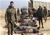 هلاکت بیش از 50 داعشی در جنوب سوریه