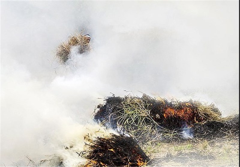 کشاورزان اردبیل از سوزاندن کاه و کلش باقیمانده از محصولات خودداری کنند