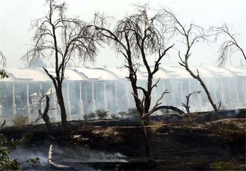 افزایش آتش‌سوزی‌ فضاهای سبز تبریز نسبت به سال های گذشته