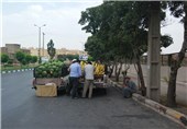 پایان کار بارفروشان در خیابان شهرزاد/ ورود دستگاه قضا و نیروی انتظامی
