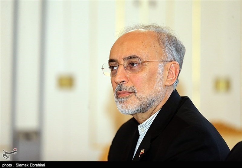 صالحی درگذشت دیپلمات‌های ایرانی در فاجعه منا را تسلیت گفت