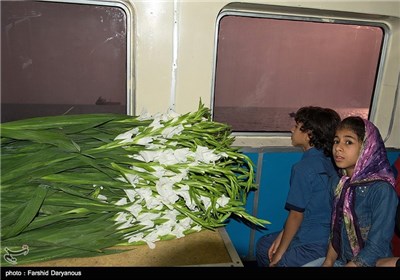 Flower Drop in Memory of Victims of Iranian Plane Downed by US