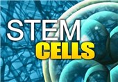 Bacterial Protein Can Help Convert Stem Cells into Neurons
