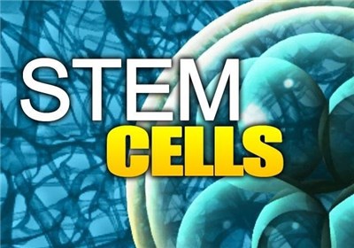 Unraveling Mystery of Stem Cells