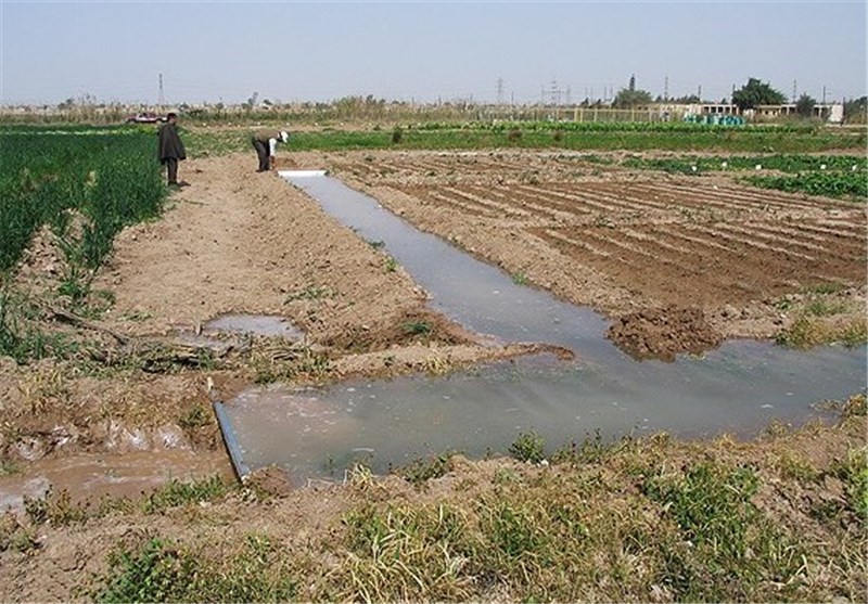 70 درصد اراضی کشاورزی خراسان جنوبی خرده مالکی است