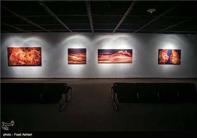 نمایشگاه مهرداد صدری و بیژن بصیری در موزه هنرهای معاصر