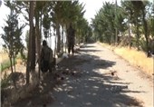 کشته و مجروح شدن 20 تروریست توسط ارتش سوریه در جنوب «الزبدانی»