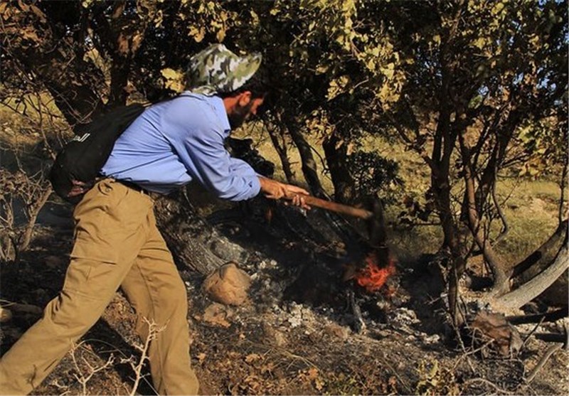 خسارت آتش سوزی جنگل‌های استان ایلام قابل جبران نیست