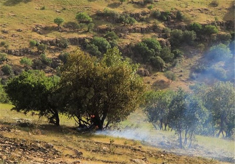 آتش‌سوزی جنگل‌ها و مراتع کوه «چارتا» پلدختر مهار شد