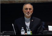 Iran’s Salehi in China for Talks on Arak Reactor Redesigning