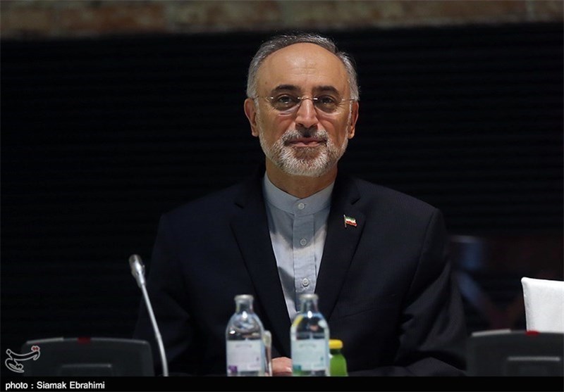 Iran’s Salehi in China for Talks on Arak Reactor Redesigning