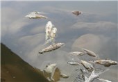 خشک شدن «کَشکان» بزرگ‌ترین فاجعه زیست‌محیطی لرستان