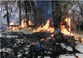 مناطق جنگلی خلخال برای جلوگیری از آتش‌سوزی کنترل می‌شود