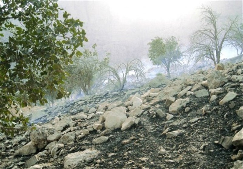 آتش محرومیت بر پیکر جنگل‌های اندیمشک