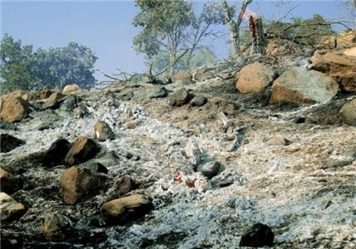 آتش‌سوزی جنگل‌های جنوب لرستان پس از ۳ روز مهار شد