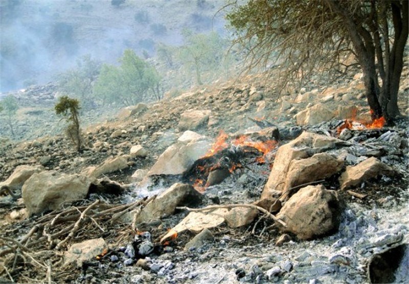آتش سوزی در جنگل‌ها و مراتع شهرستان دوره چگنی مهار شد/استقرار نیروها در منطقه