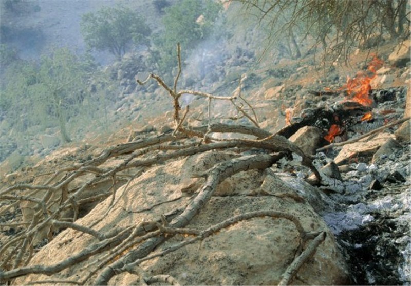 500 هکتار از اراضی منطقه میمند در آتش سوخت