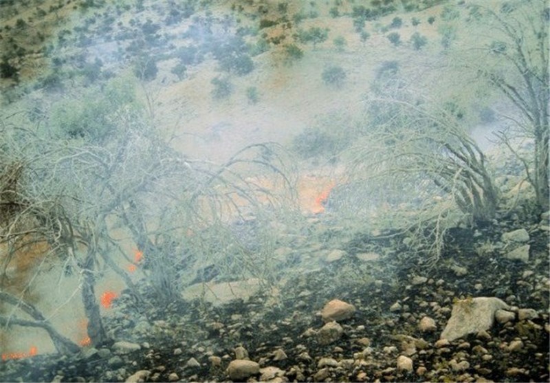 جبران خسارت‌ آتش‌سوزی کشاورزان بیله‌سوار پیگیری می‌شود