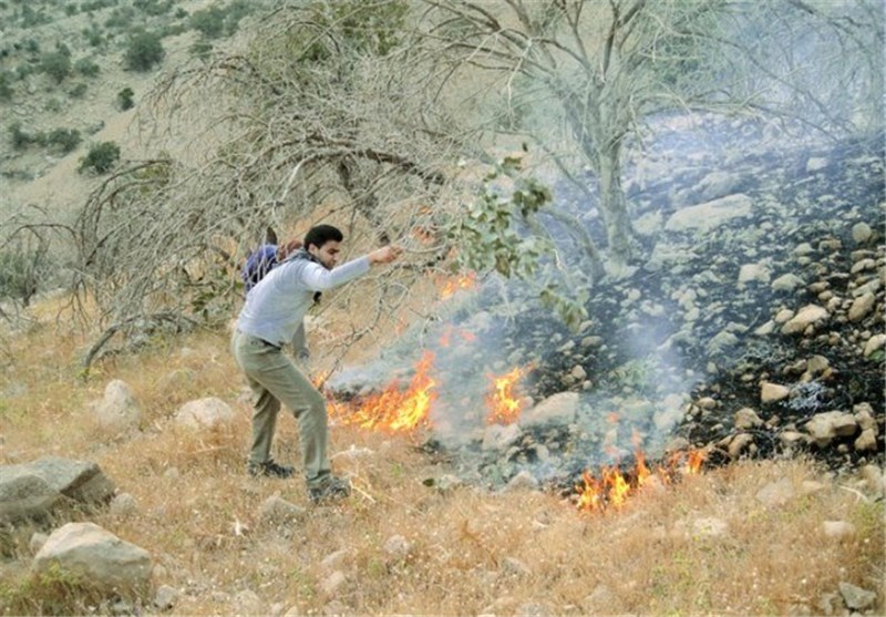 احتمال آتش‌سوزی در جنگلهای آذربایجان‌غربی به سبب شدت گرما افزایش یافت