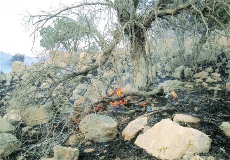 3 نفر از عوامل آتش سوزی جنگل‌های اندیمشک شناسایی شدند