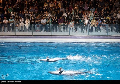 Tehran Milad Tower Dolphinarium