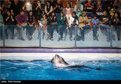 Tehran Milad Tower Dolphinarium