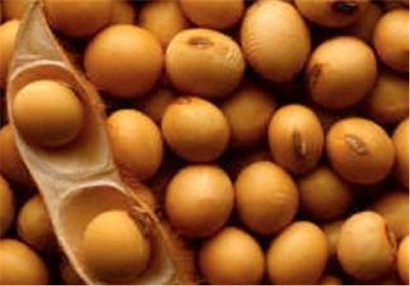 15 هزار تن سویا در شهرستان بیله‌سوار تولید می‌شود