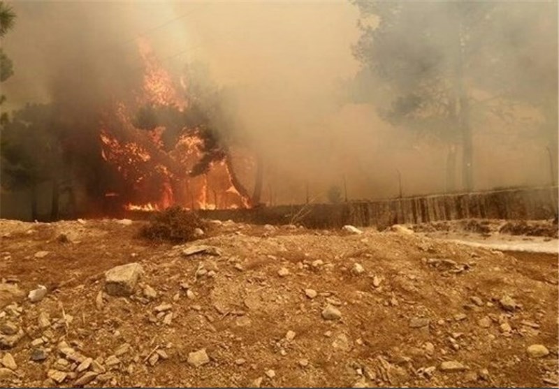 Forest Fire Spreads near Nuclear Plant Project in South Turkey