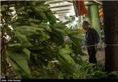 Photos: Tehran Gets Hit with Summer Storm