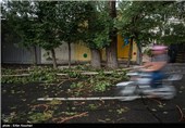 Photos: Tehran Gets Hit with Summer Storm